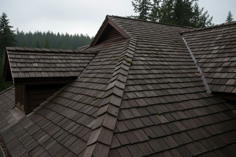 Cost of Cedar Shake Roof Construction in Maitland, FL