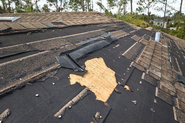 Roof Damage Mitigation