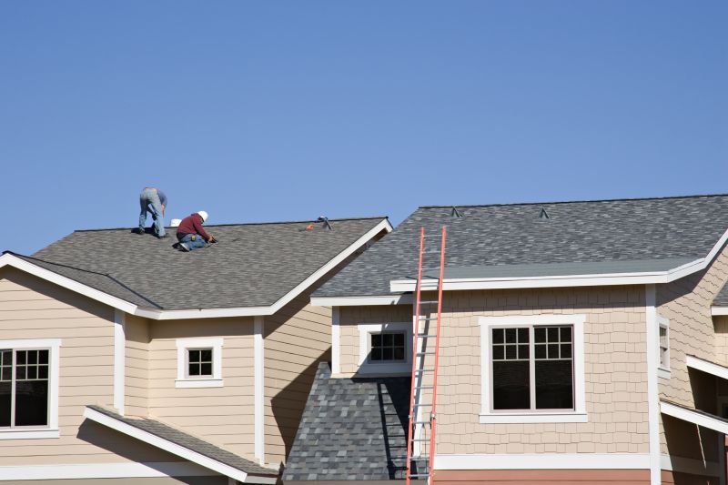 Asphalt Roof Repair