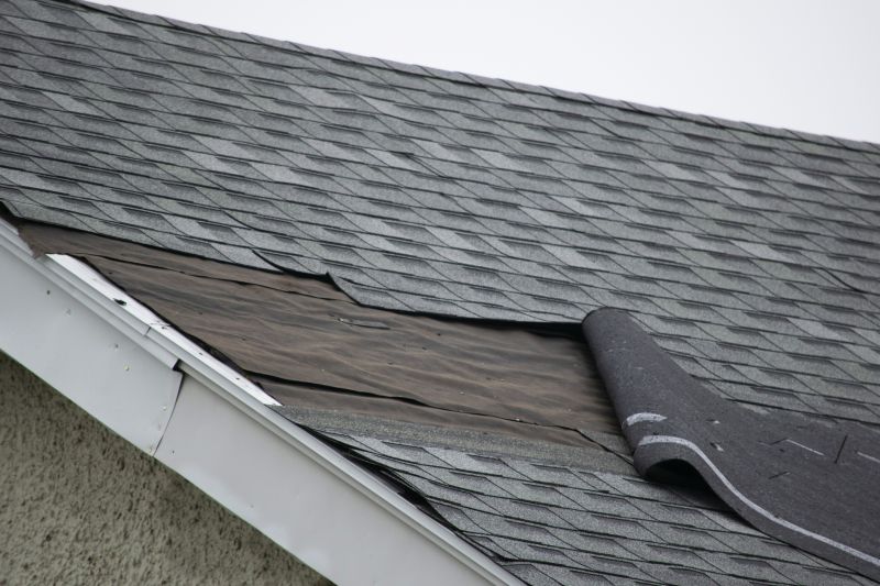 Damaged Roof Repair