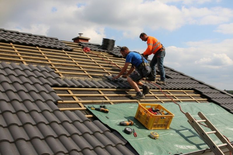 Damaged Roof Repair detail