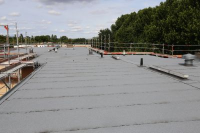 Damaged Roof Repair detail
