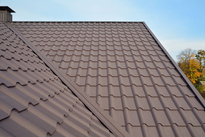 Metal Roof Replacement detail