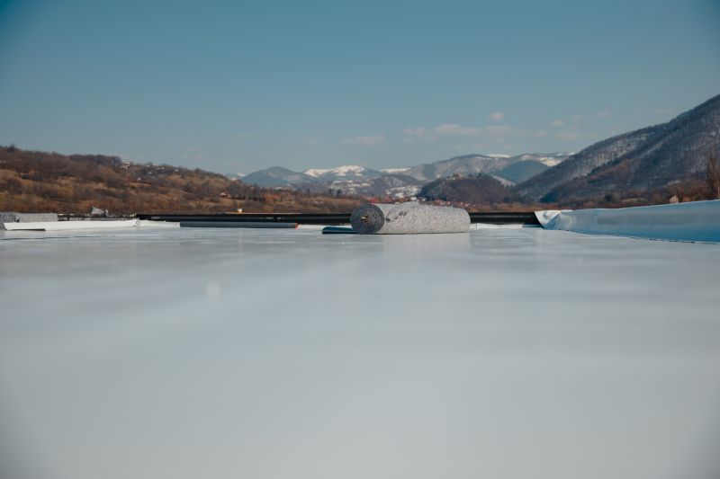 Tpo Roof Coating Service detail