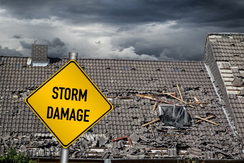 Roof Damage Inspection