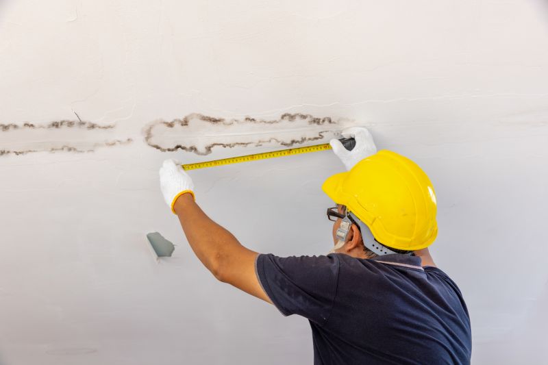 Roof Leak Detection Service