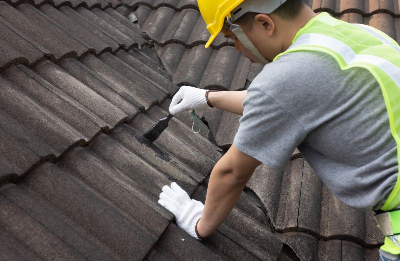 Roof Sealing