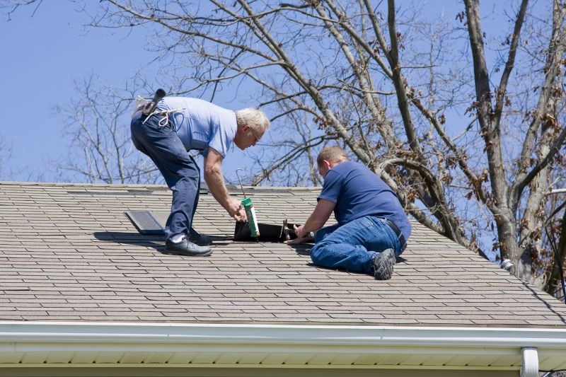 Shingle Repair