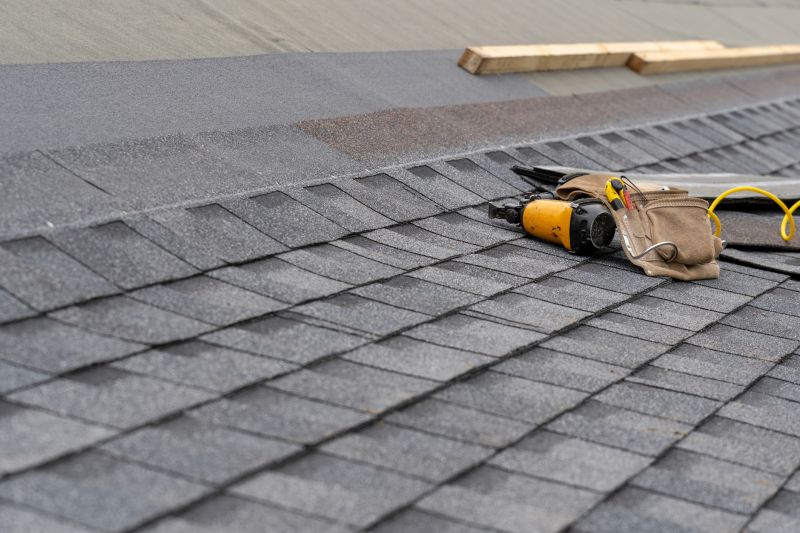 Shingle Repair